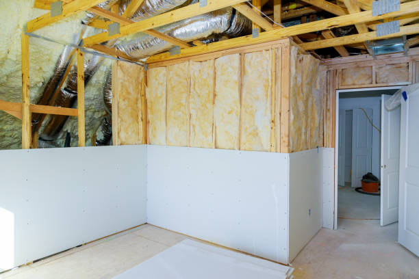 Best Specialized Insulation Services in Haslett, MI