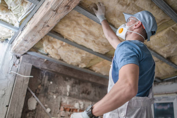Best Residential Insulation in Haslett, MI