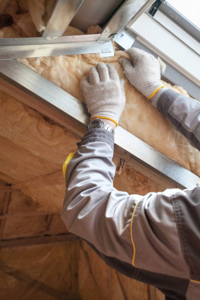 Best Geographic-Specific Insulation Services in Haslett, MI