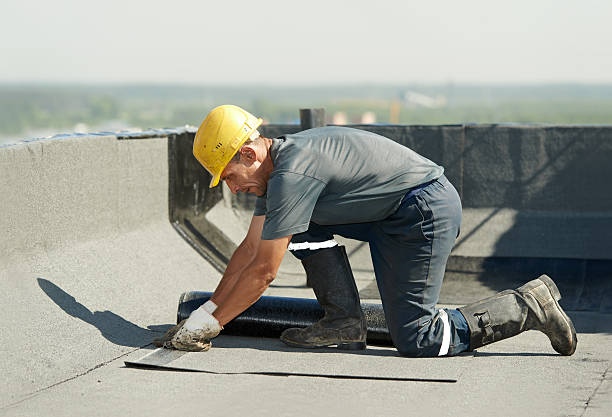 Professional Insulation Contractor in Haslett, MI