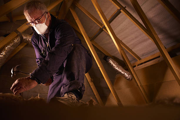 Best Blown-in Insulation in Haslett, MI