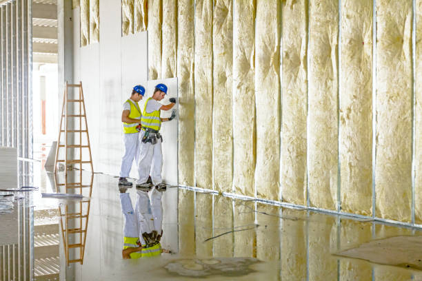 Best Insulation Maintenance and Repair in Haslett, MI
